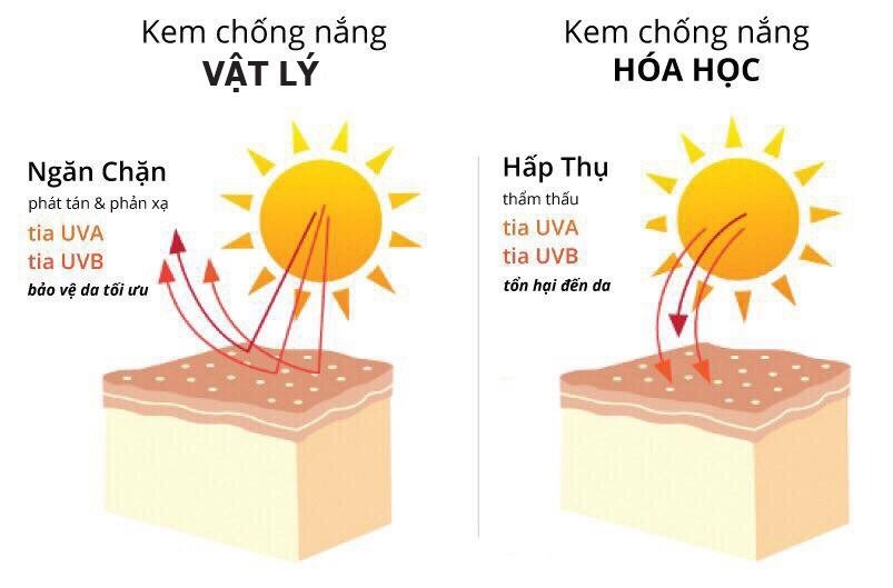 Cơ chế hoạt động khác biệt giữa kem chống nắng vật lý và kem chống nắng hóa học